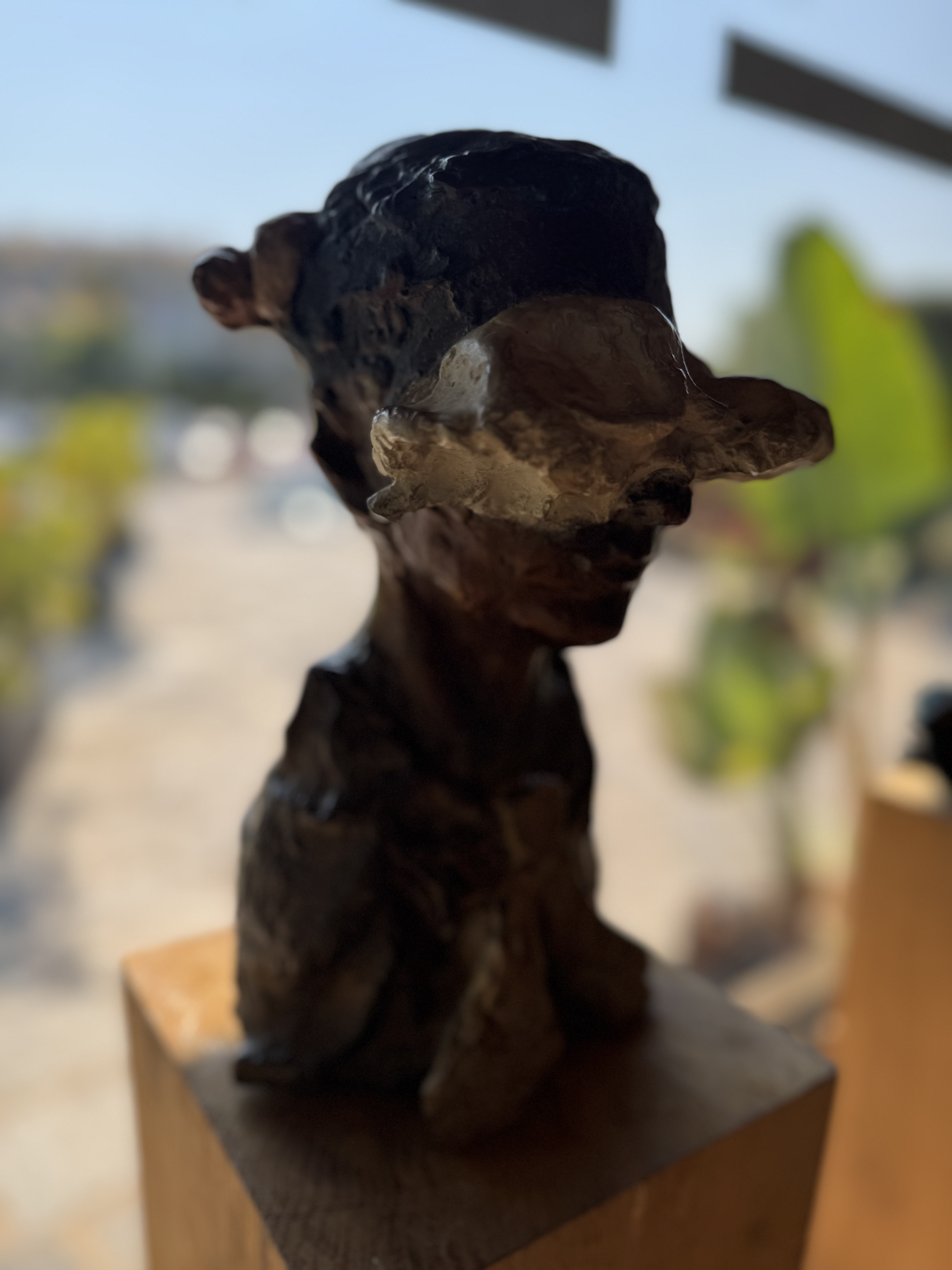 Pioneer Girl - Side View